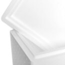 Thermobox Styrofoam box 20 liter cooler box shipping container (12 per box)